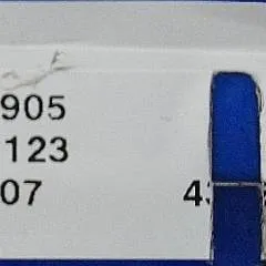 Jungheinrich 51026905 | Rijschakelaar accelerator EJE116 sn. AM201123